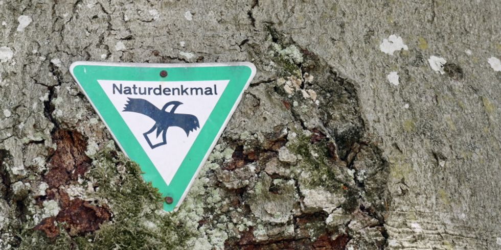 Naturdenkmal Schild
