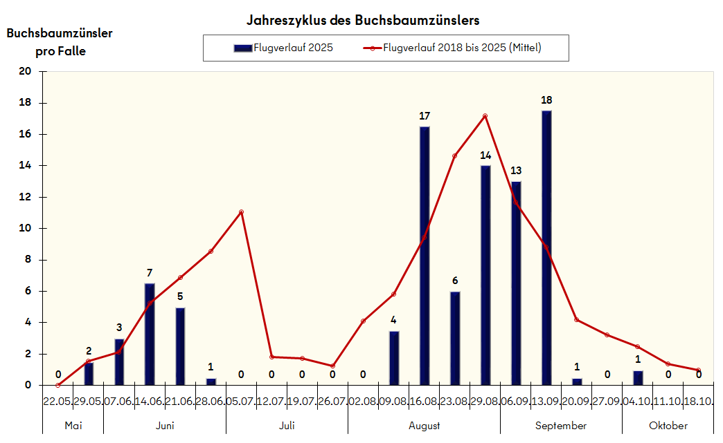 Jahreszyklus des Buchsbaumzünslers m Vergleich mit den Mittelwerten 2018-2025