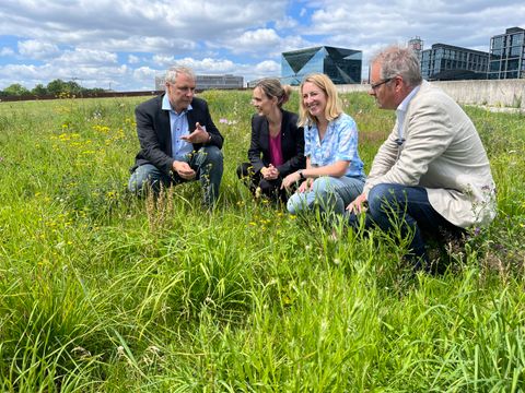 Christian Schmidt-Egger (Dt. Wildtierstiftung), Umweltsenatorin Dr. Manja Schreiner, Bezirksstadträtin Dr. Almut Neumann und Prof. Dr. Klaus Hackländer (Dt. Wildtierstiftung; v.l.) auf dem Wildbienenlehrpfad im Spreebogenpark