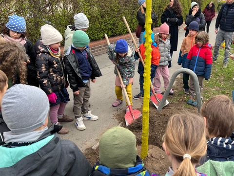 Baumpflanzung der Zebraklasse der Evangelischen Schule Pankow (Bild: SenMVKU)