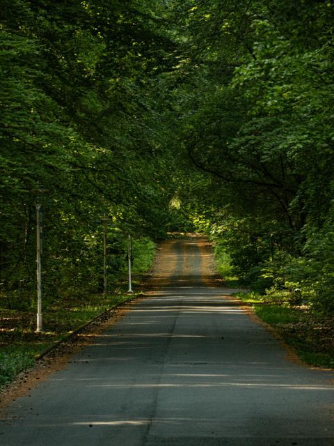 Straße in Brandenburg
