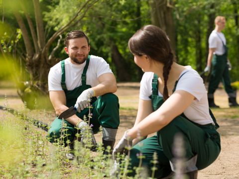 Eine Landschaftspflegerin und ein Landschaftspfleger sprechen während der Arbeit