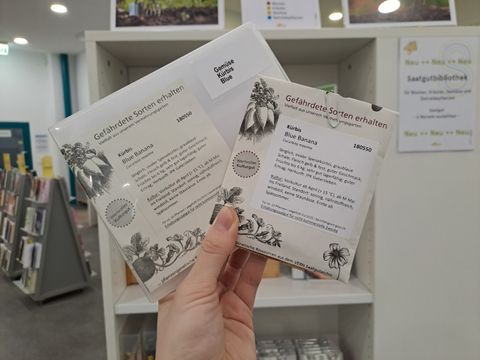 Foto: Saatguttütchen der Kürbissorte "Blue Banana"