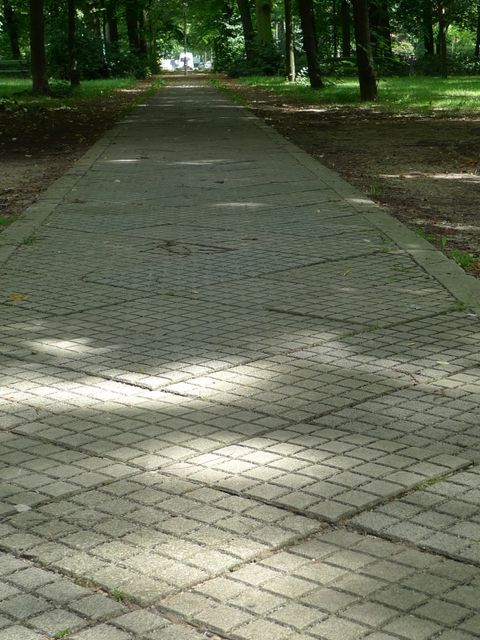 (Bild: Fachbereich Grünflächen)