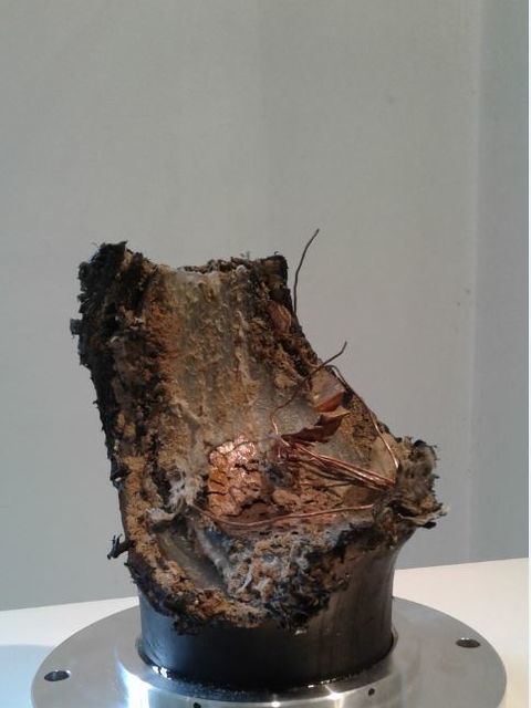 (Bild: Brigitte Hadyk)