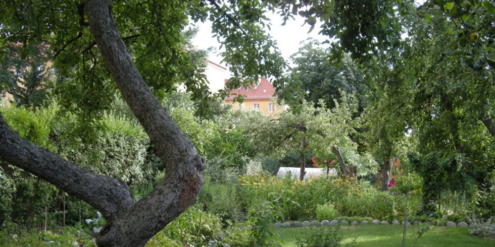 Gemüsebeet