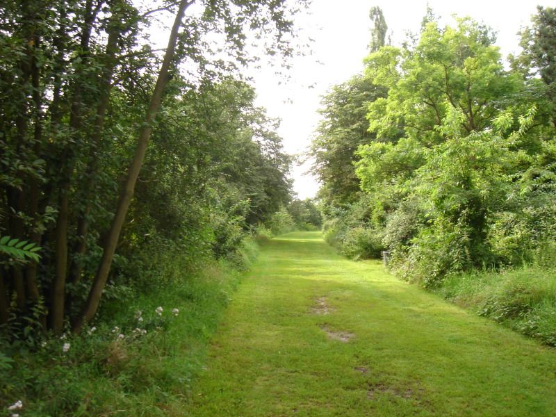 Parkweg Rudower Hoehe