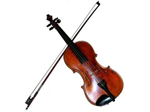 Violine