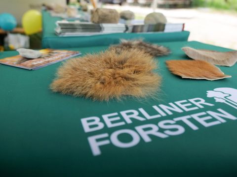 Informationsstand der Berliner Forsten