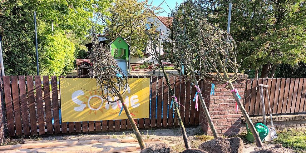 Drie Baäume für die Baumpflanzung vor der Kita Sonne liegen mit Ballen vor dem Zaun