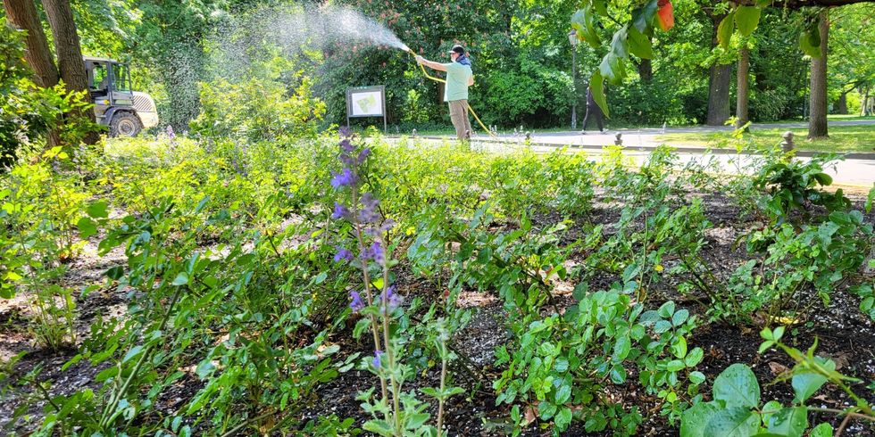 Teamarbeitstag der Grünflächenunterhaltung des Straßen- und Grünflächenamtes Friedrichshain-Kreuzberg im Volkspark Friedrichshain