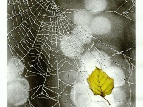 Blatt im Spinnennetz