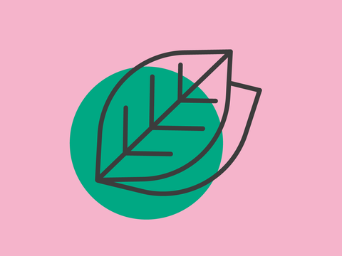 Umwelt-Ordnung-Icon