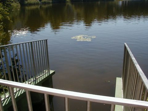 Auslauf des Bodenfilters in den Halensee (Juli 2008)
