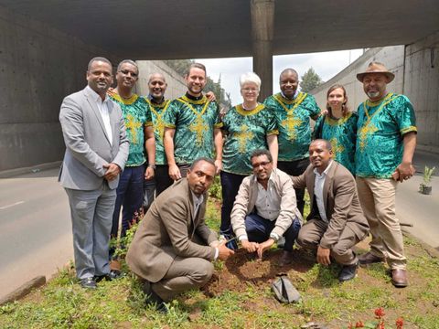Neben den frisch gepflanzten Bäumen im Bezirk Lideta
