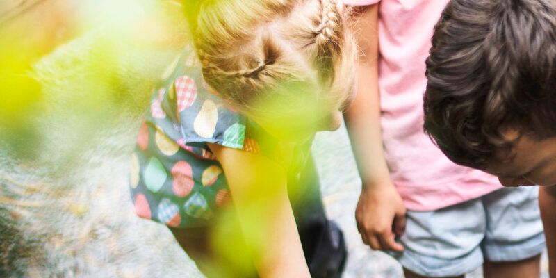 Kinder im Schulgarten