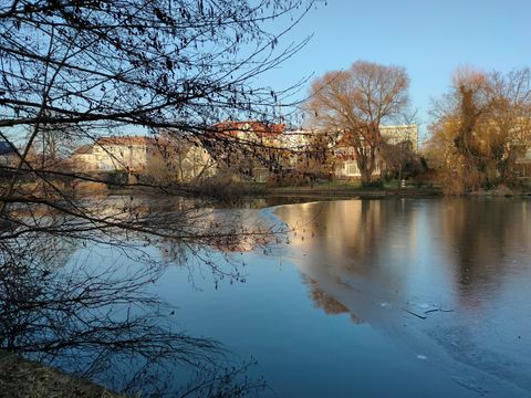 Leicht zugefrorener Obersee mit den Sillhouetten von Zweigen im Vordergrund, blauem Himmel und dessen Spiegelung in der Eisoberfläche