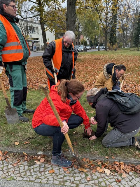 Gemeinsame Pflanzaktion an der Greenwichpromenade (Bild: BA Reinickendorf)