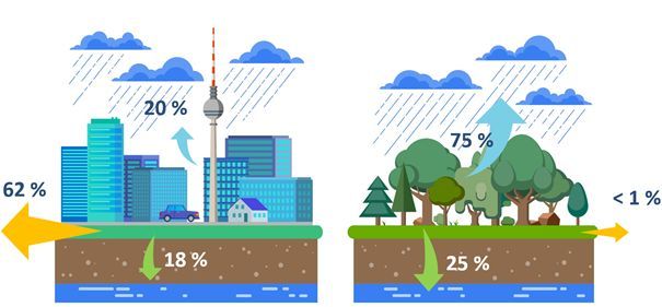Abb. 1: Typischer Wasserhaushalt von versiegelten Flächen und Vegetationsflächen (blaue Pfeile: Verdunstung, gelbe Pfeile: Oberflächenabfluss, grüne Pfeile: Versickerung)