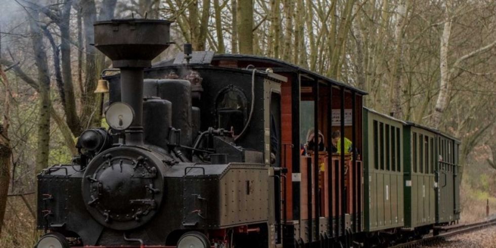 Dampflok Parkeisenbahn Wuhlheide