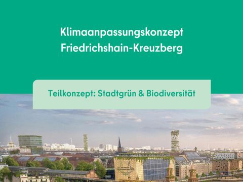 Cover des Klimaanpassung-Teilkonzepts Stadtgrün & Biodiversität