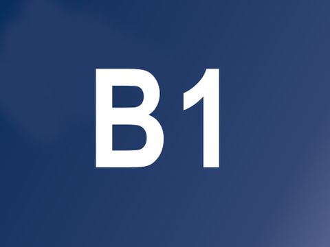 B1 Fremdsprachen Niveau