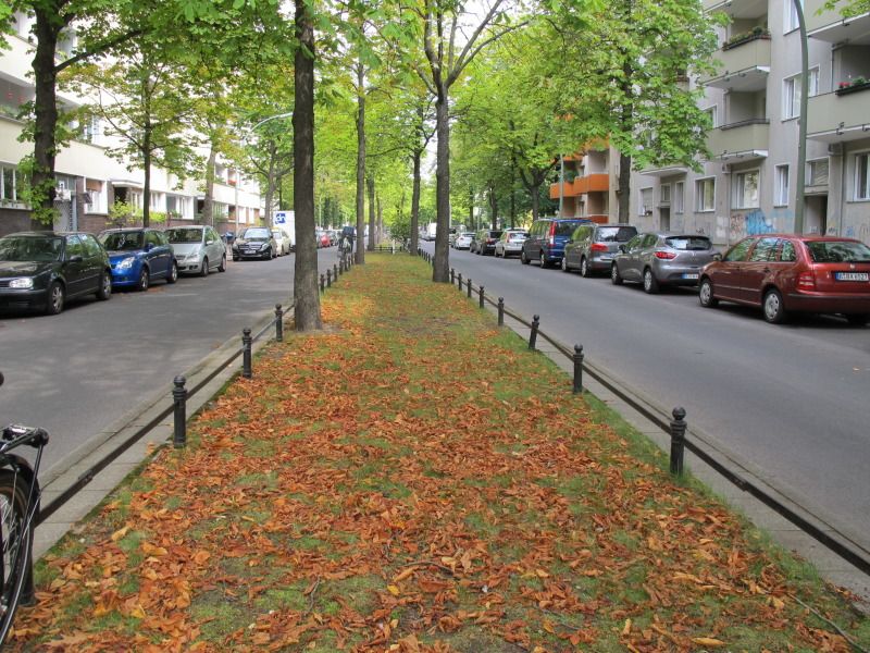 begrünter Mittelstreifen einer Straße 