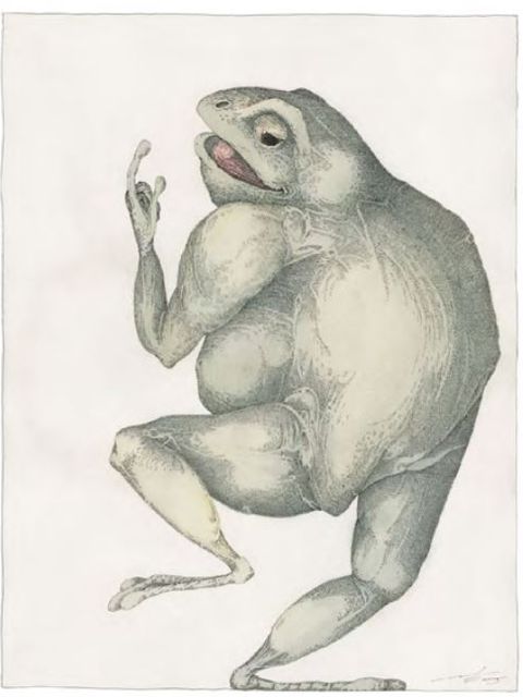 Frosch