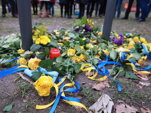 24. Februar 2023: Ein Blumenmeer in Blau-Gelb