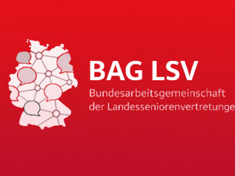 Logo BAG LSV