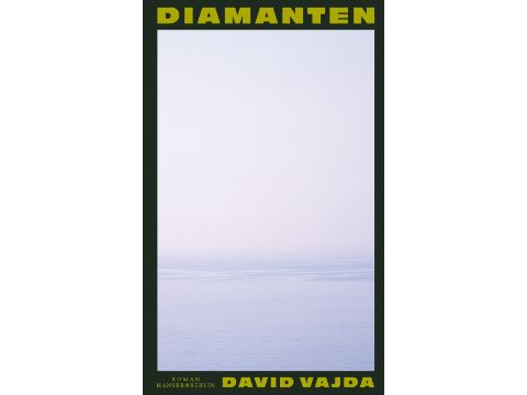 Buchcover: David Vajda - Diamanten