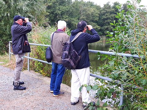 Birdwatching mit Rob Crouch