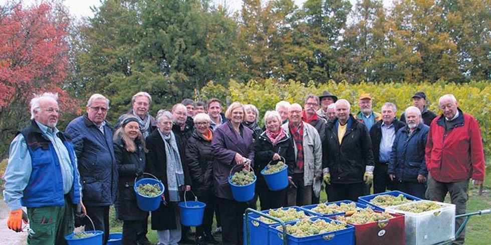 Gruppenbild Weinlese 2015