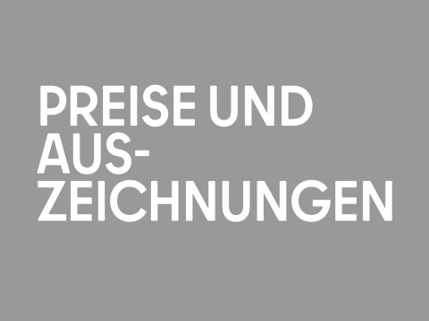 Teaser Preise und Auszeichnungen
