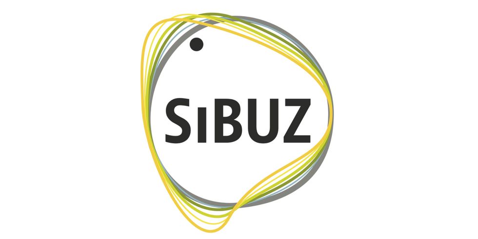 Logo SIBUZ