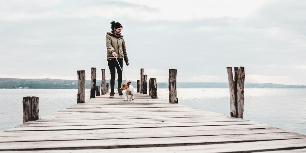 Eine Schülerin führt einen Hund Gassi.