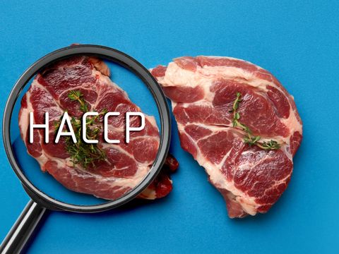Fresh raw steaks with thyme on blue background
