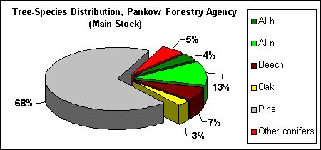 Fig. 12: Tree Species Distribution, Pankow Forestry Agency (Main Stock)