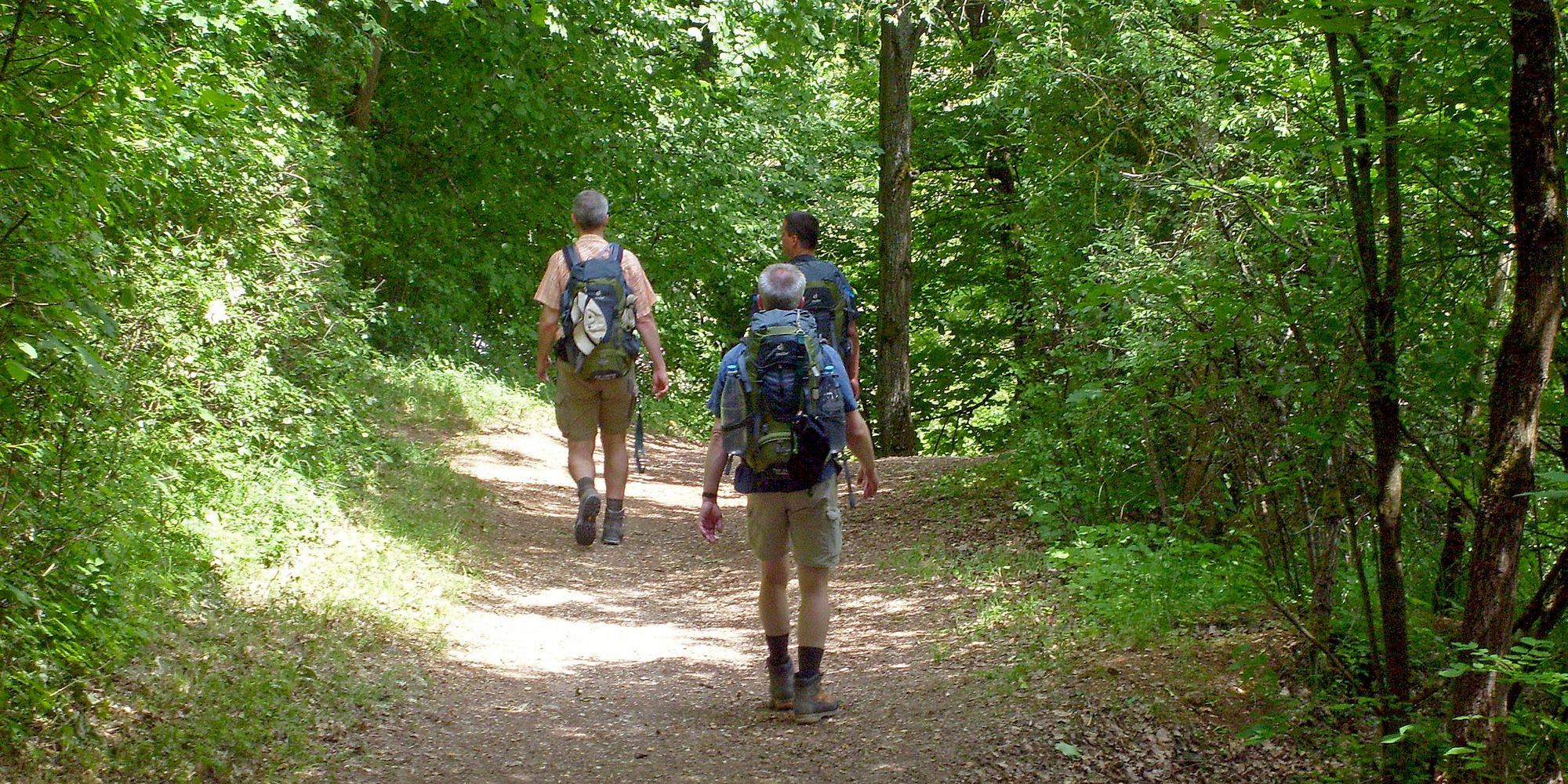 Wanderer im Wald