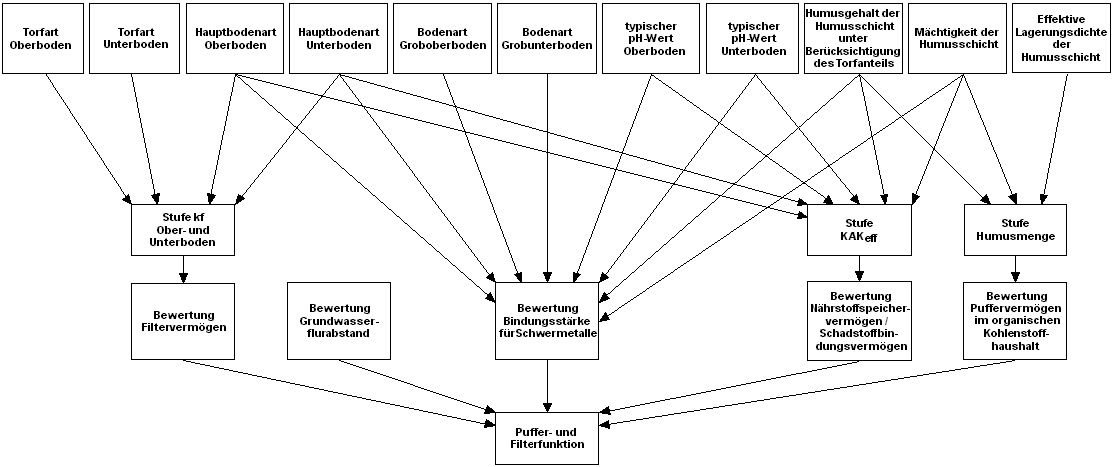 Abb. 1: Schema zur Bewertung der Puffer- und Filterfunktion (Bild: Gerstenberg 2017)