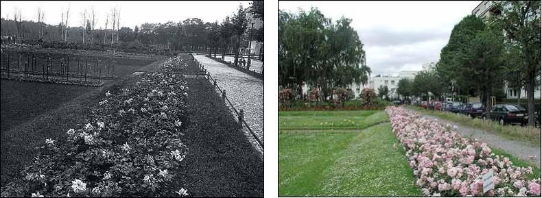 Fotovergleich historisch und heute - Rosenbeete schmücken den Rand des Karolingerplatzes
