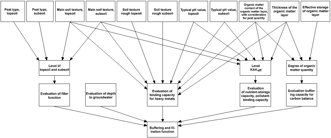 Fig. 1: Diagram for the evaluation of the buffering and filtration functions