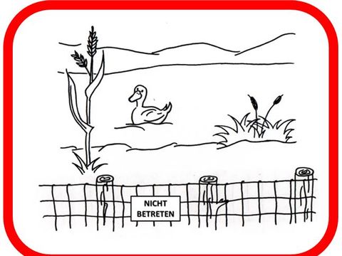 (Bild: Caroline Maik)