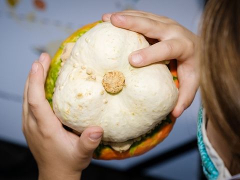 Ein Kürbis wird von einem Kind gehalten.