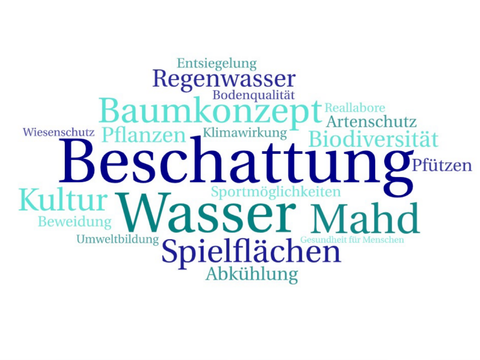 Wortwolke: Beschattung, Wasser, Mahd, Baumkonzept, Spielflächen, Biodiversität, Kultur, Regenwasser, Abkühlung, Pflanzen,...