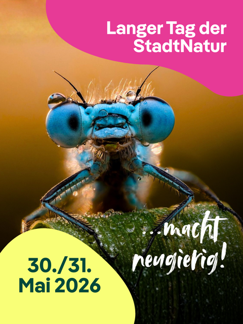 Feedpost-Vorlage "Kampagnenbild" 1080x1350 Pixel - Nemo