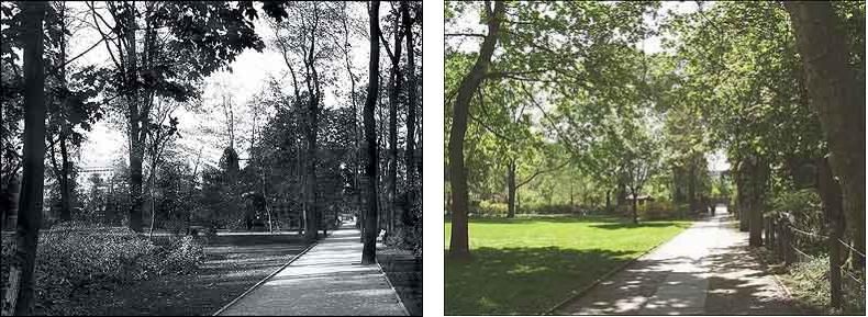 Fotovergleich historisch und heute - Der Längsweg im Schustehruspark