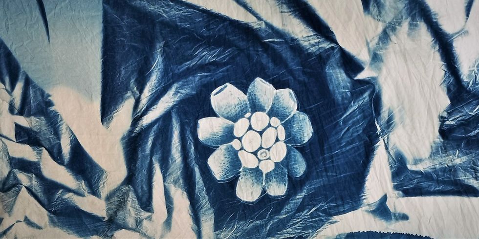 Planktonicausstellung - Bildausschnitt