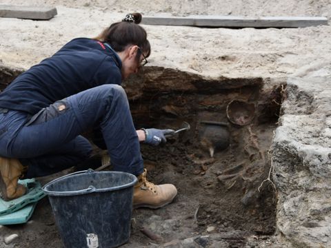 Grabung Molkenmarkt 2022, Holzbefund