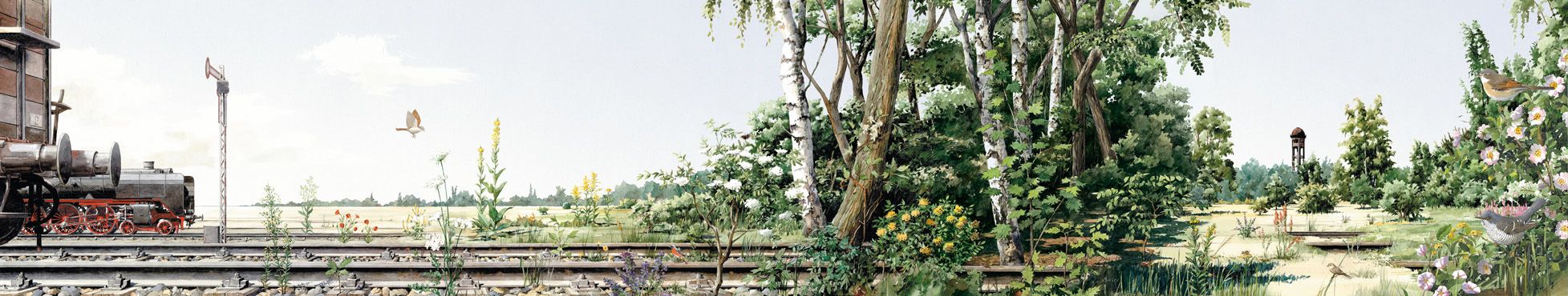 Tiere und Pflanzen siedeln sich mit Aufgabe der Bahnnutzung an. (Bild: Illustration: Max Ley)